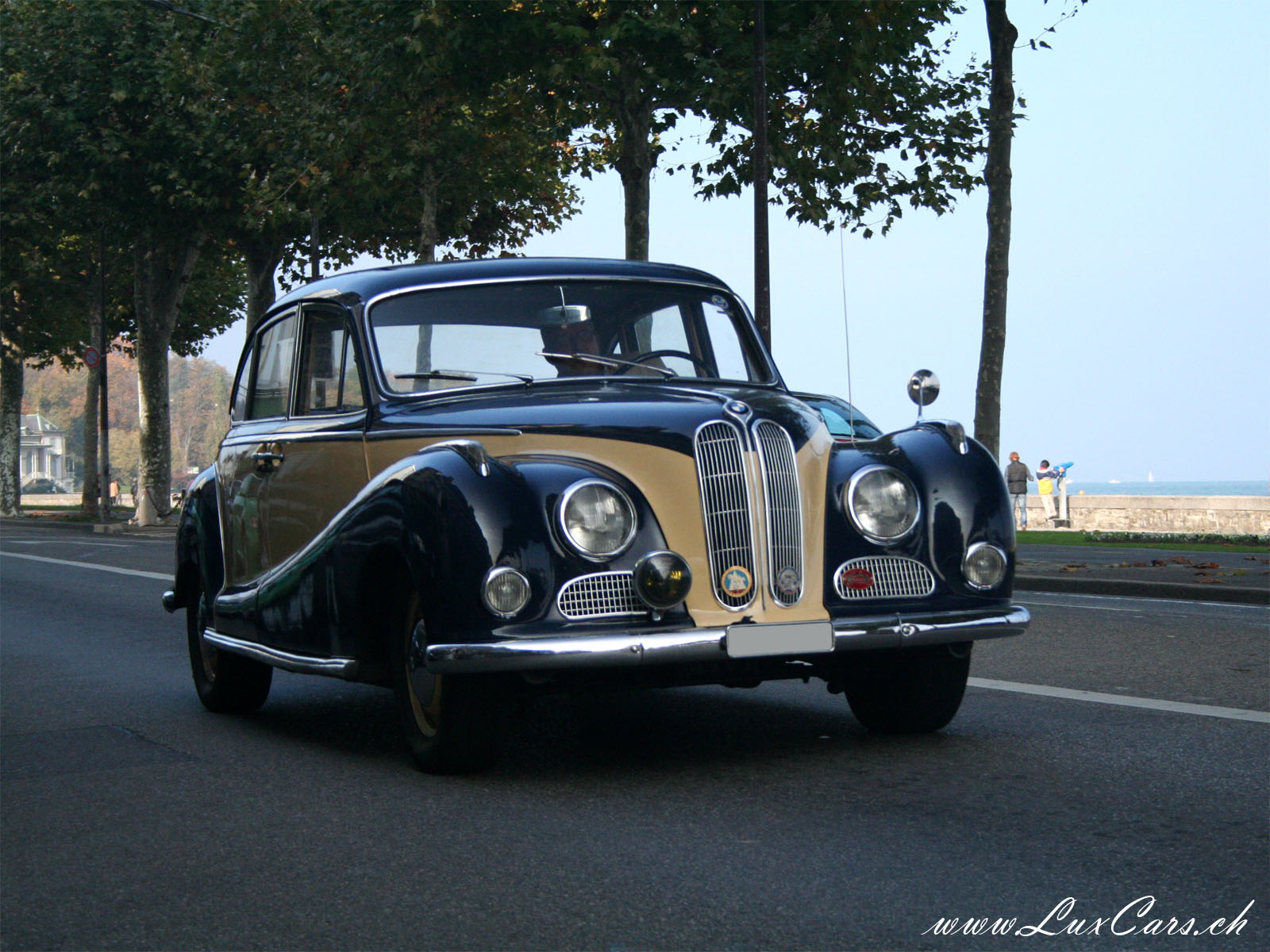 Bmw 502