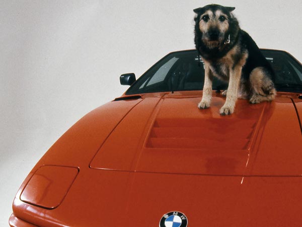 Test: how deep is your BMW knowledge, part 2!