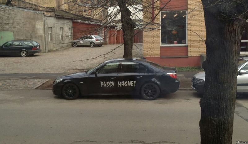 Pussy magnet
